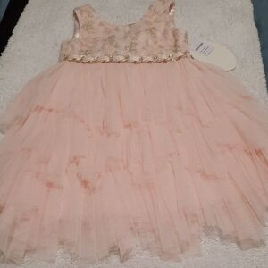 American Princess Blush Tulle Dress with Gold Accents
